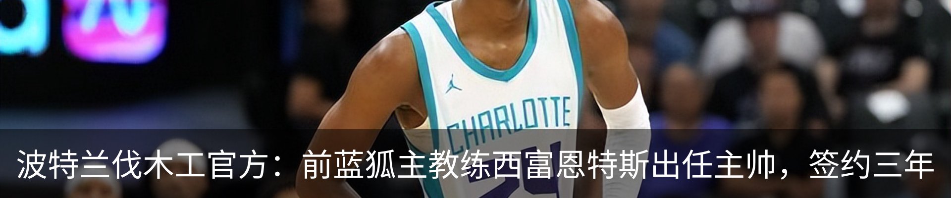 新闻动态