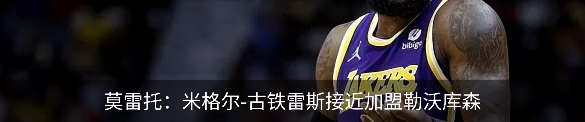新闻动态